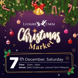 Christmas Market 2024