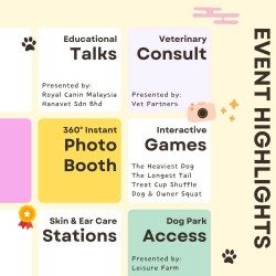Pet Dermatology - Dog Day Event Highlights